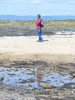 bird-watching beach